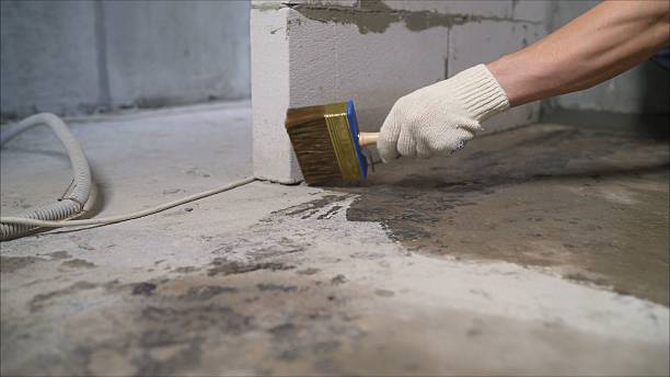 SJ Waterproofing Pros Waterproofing coverage map for Waynetown, IN and surrounding area